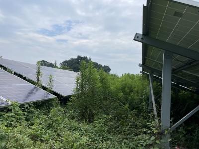 写真 2024-07-20 11 48 27