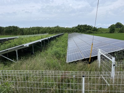 写真 2025-06-14 10 14 44