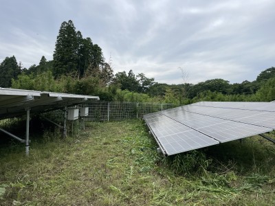 写真 2025-06-08 13 13 59