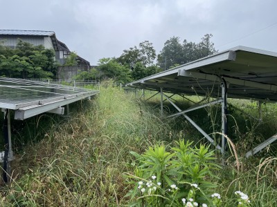 写真 2025-06-10 10 00 25