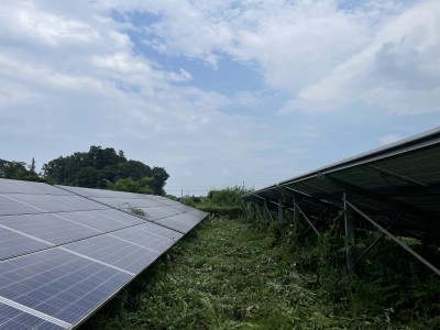 写真 2024-07-20 12 55 59