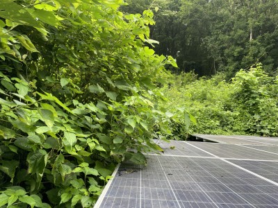 写真 2024-07-16 16 58 55