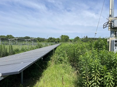 写真 2024-06-22 8 45 55