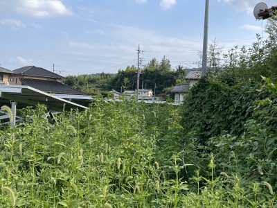 写真 2025-08-28 15 35 36