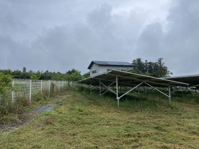 写真 2025-06-10 10 38 33