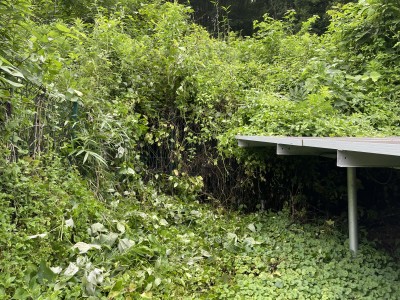 写真 2024-07-16 17 25 20