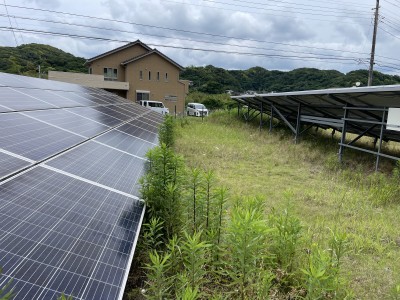 写真 2025-06-14 11 57 16