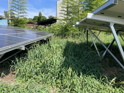 写真 2025-08-03 14 36 16