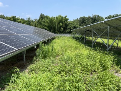 写真 2025-07-09 13 22 19