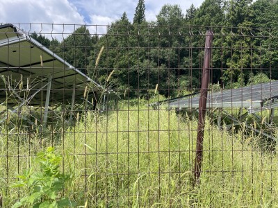 写真 2025-09-18 10 20 44