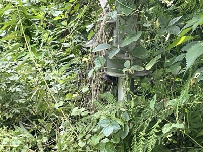 写真 2024-07-20 12 06 35