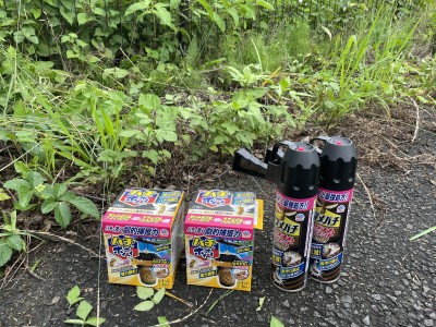 写真 2024-07-01 14 16 52