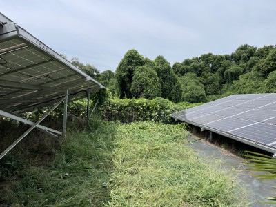 写真 2025-08-09 10 49 06