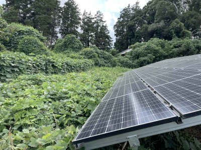 写真 2025-09-28 13 43 08