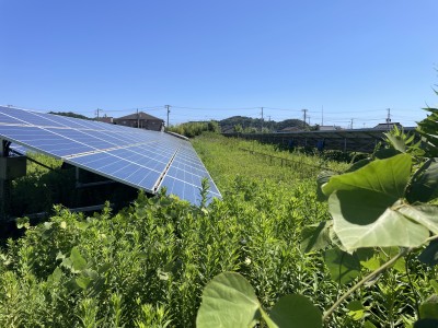 写真 2025-09-06 10 17 25