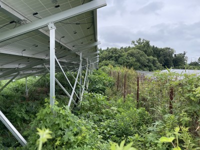 写真 2025-08-01 11 31 49