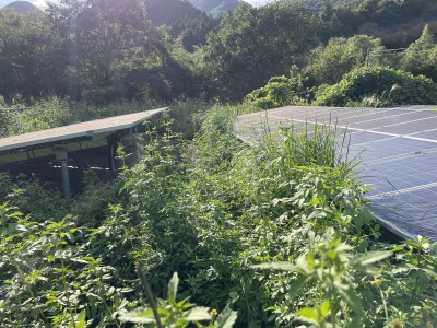 写真 2025-09-23 15 23 01