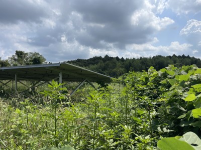 写真 2025-09-16 11 51 16