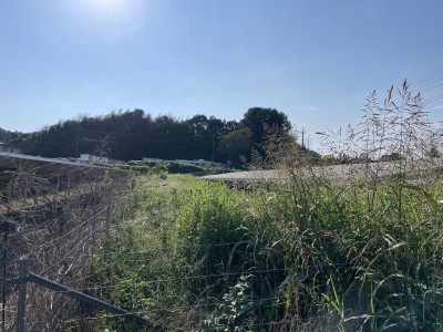 写真 2025-08-30 15 41 00