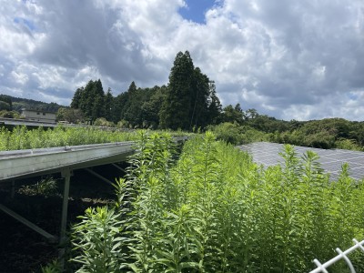 写真 2025-09-07 12 32 09