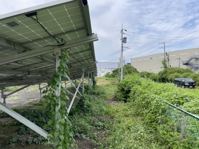 写真 2025-08-09 12 06 18