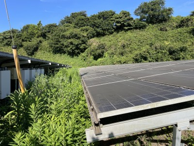 写真 2025-07-27 7 20 39