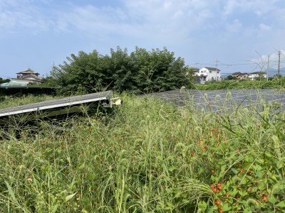 写真 2025-08-31 9 06 58