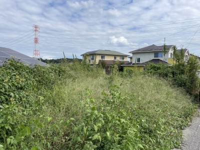 写真 2025-09-26 11 54 24