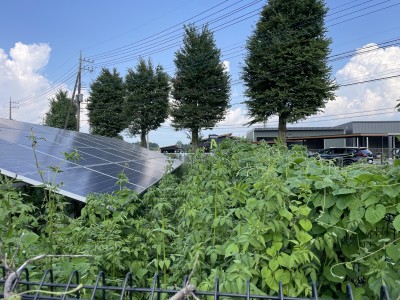 写真 2025-08-23 14 33 08