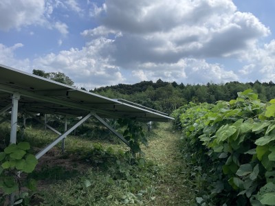 写真 2025-09-16 12 18 45