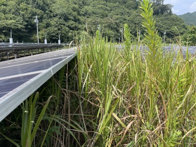 写真 2025-08-27 10 12 53