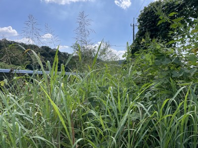 写真 2025-08-30 12 57 40