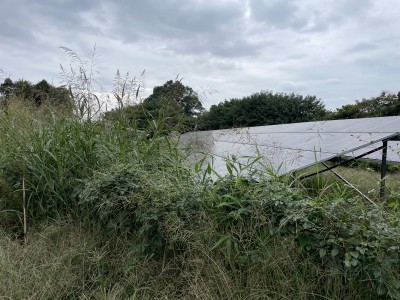 写真 2025-10-14 13 38 00