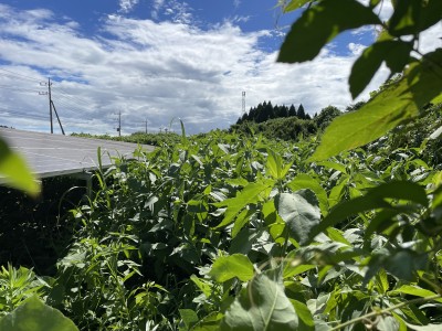 写真 2025-08-02 9 07 27