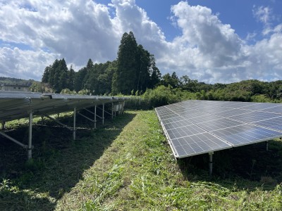 写真 2025-09-07 13 13 21