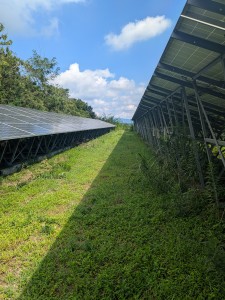 PXL_20240910_041522455