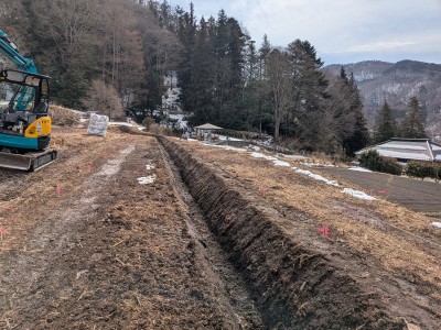 PXL_20250308_015058539