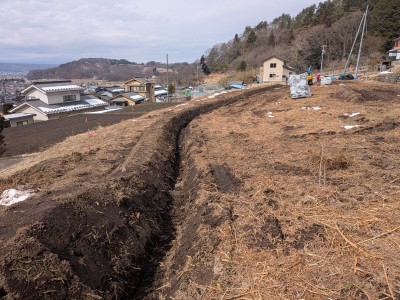 PXL_20250308_015745646