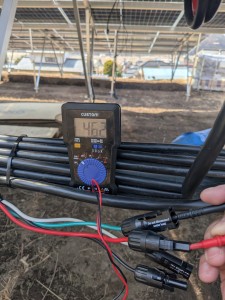 PXL_20250325_020047481