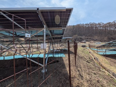 PXL_20250417_031918431