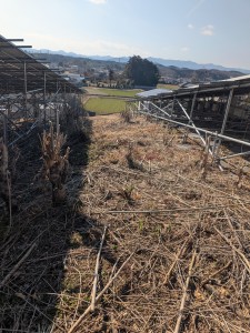 PXL_20260213_041724910