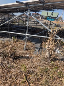 PXL_20260213_041727452