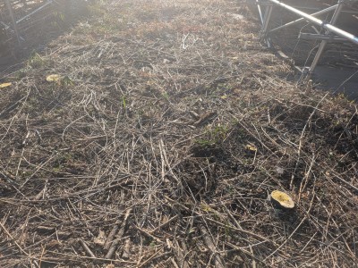 PXL_20260213_063816545