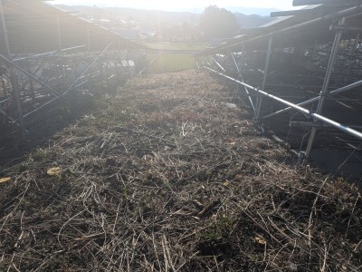 PXL_20260213_063818138