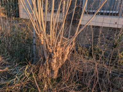 PXL_20260213_073828386