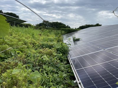 写真 2025-08-02 13 49 23