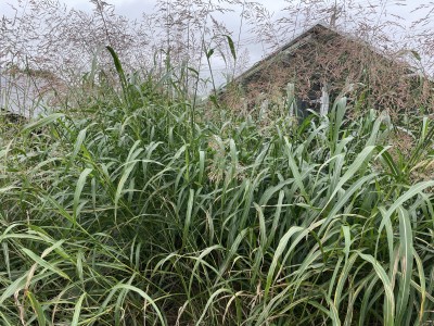 写真 2025-10-20 13 30 27