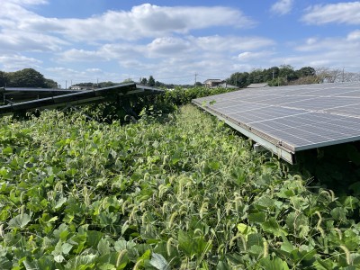 写真 2025-10-10 11 28 03