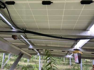 写真 2024-07-01 14 08 51