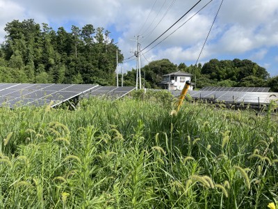 写真 2025-07-20 7 48 20